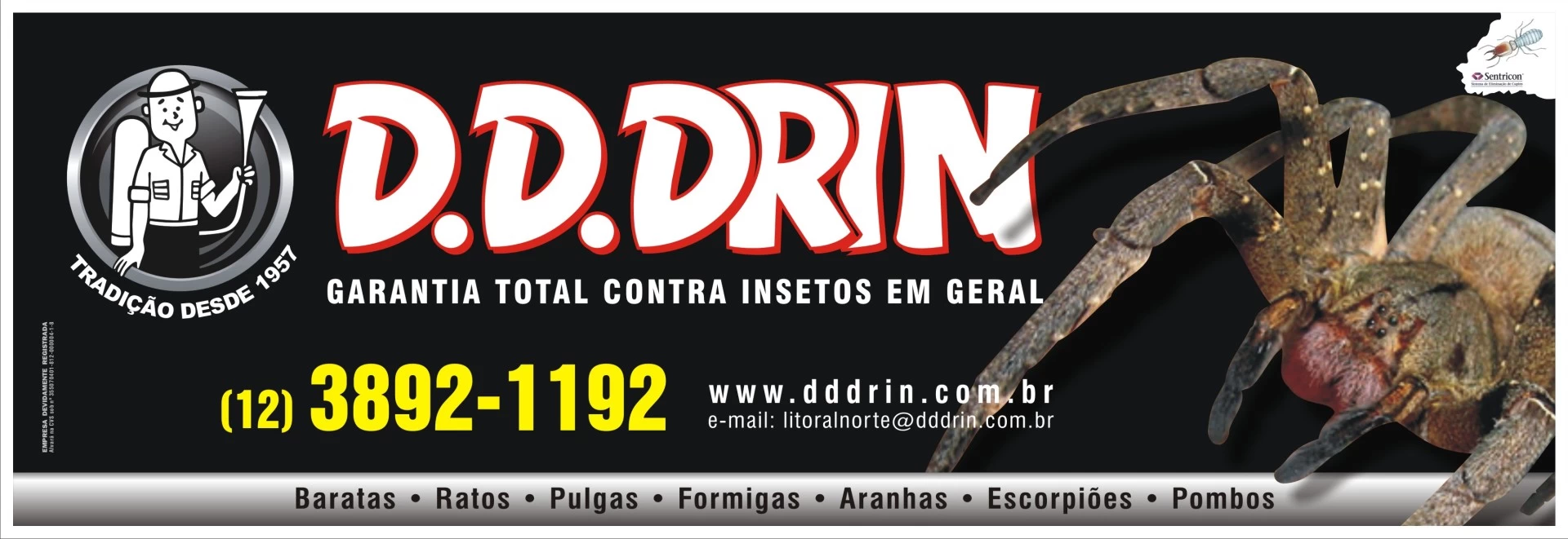 Desinsetização