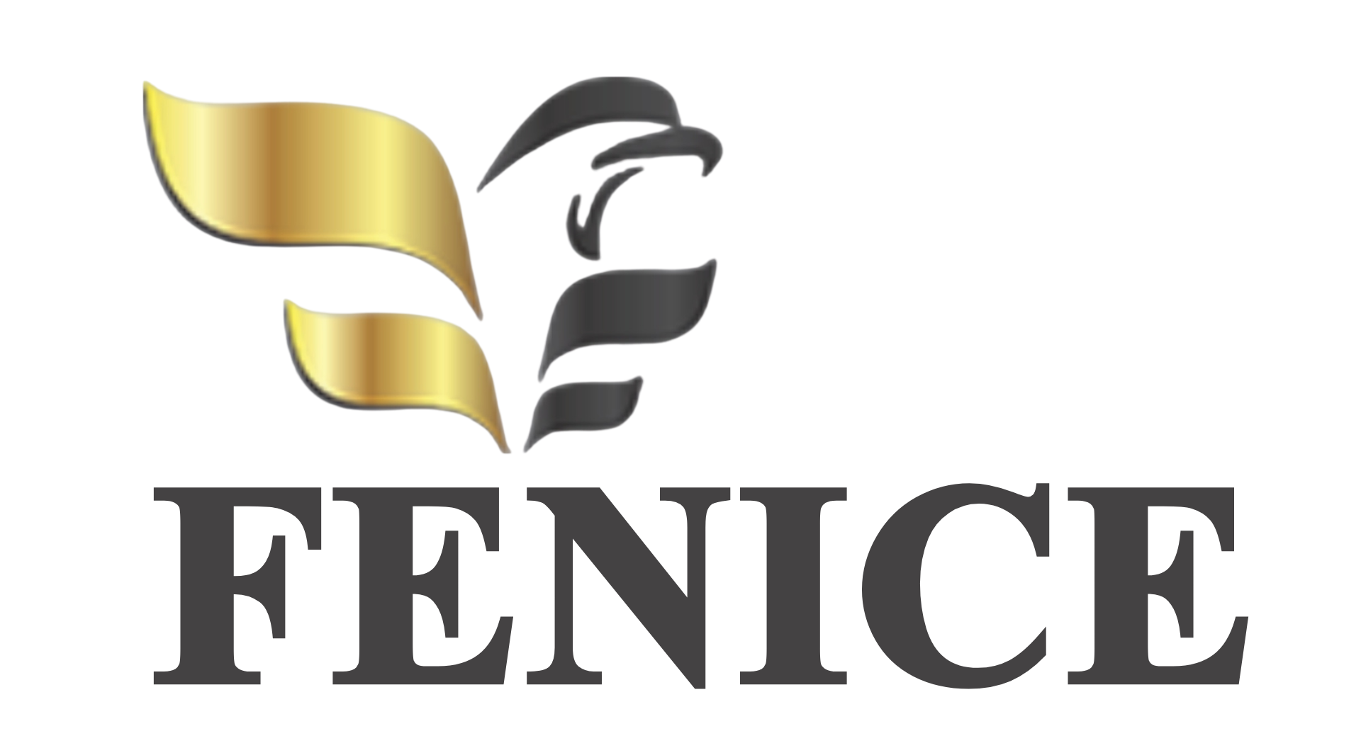 Fenice Segurança